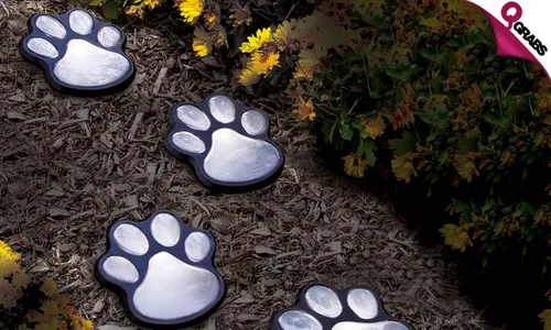Paw Print Solar LED Light!